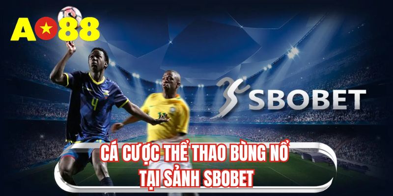 Cá cược thể thao bùng nổ tại sảnh SBOBET